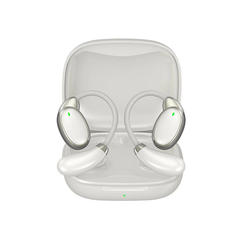 AI Language Translation Earbuds